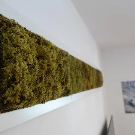 Alpine Base Apartment *